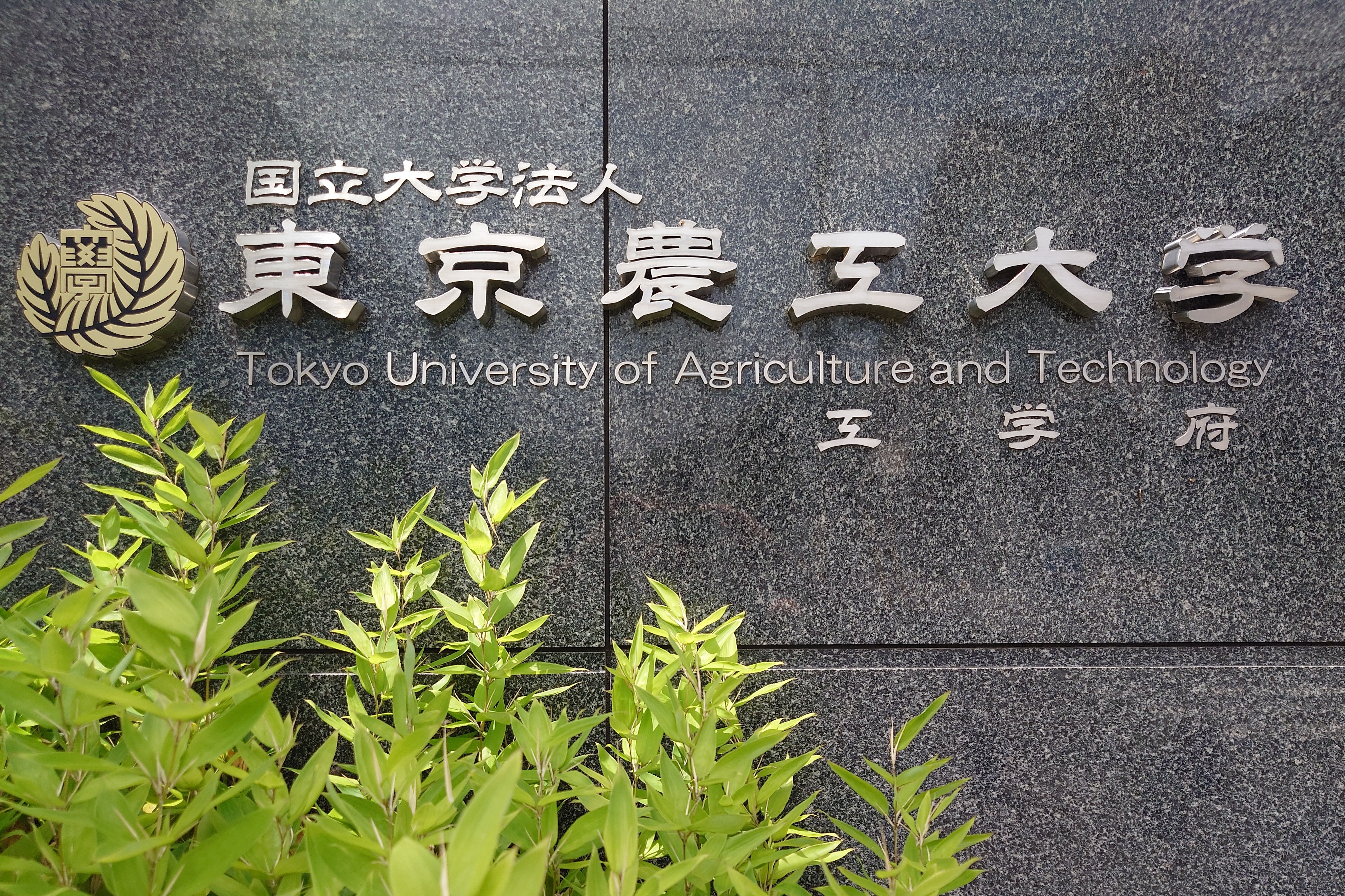 東京農工大学の大学名表示